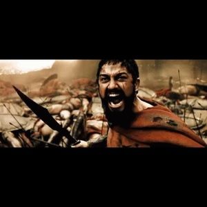 Meet your Posher, Roy